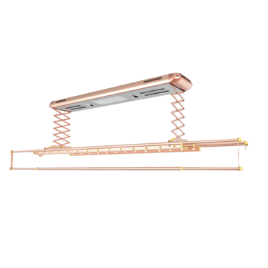 電動晾衣架LD59113THJ